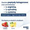 RecoMed Skin smak truskawkowo - żurawinowy, 10 sasz. x 25 g