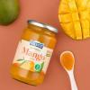SALVEST Family BIO Mango 100%, 450 g