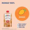 SALVEST PÕNN BIO Mango 100%, 100g