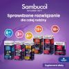 SAMBUCOL IMMUNO FORTE płyn 120 ml