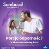 SAMBUCOL KIDS płyn 120 ml