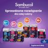 SAMBUCOL ORIGINAL FORMULA płyn 120 ml