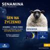SENAMINA 12,5 mg, 20 tabletek powlekanych