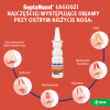 SEPTANAZAL aerozol do nosa dla dorosłych 10 ml, katar, zatoki