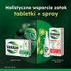 Sinulan Express Forte aerozol do nosa, 15 ml