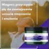SWANSON CYTRYNIAN MAGNEZU 100% czystości 244 g