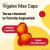 Vigalex Max Caps 4000, 160 kapsułek