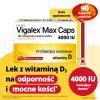 Vigalex Max Caps 4000 IU, 90 kaps.