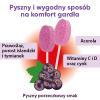Zdrowy Lizak MNIAM-MNIAM Gardło, krtań i struny głosowe o smaku czarnej porzeczki, 1szt.