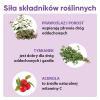 Zdrowy Lizak MNIAM-MNIAM Gardło, krtań i struny głosowe o smaku czarnej porzeczki, 1szt.