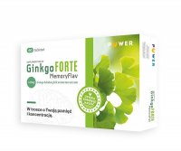 GINKGO FORTE MEMORY FLAV 120 mg 60 tabletek