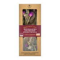 Dary Natury Ekologiczna Herbatka Ogrody Południa liofilizowana, 2 szt.