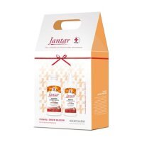 JANTAR MEDICA Zestaw do włosów zniszczonych Szampon, 330 ml + Odżywka, 200 ml