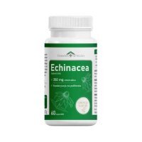 Domowa Apteczka Echinacea, 60 kaps.