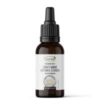 NatVita Soplówka Jeżowata Ekstrakt w glicerosomach, 30 ml