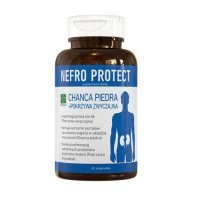 NEFRO PROTECT 60 kapsułek