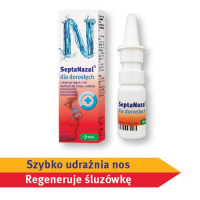 SEPTANAZAL aerozol do nosa dla dorosłych 10 ml, katar, zatoki