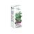 INTRACTUM MELISSAE wyciąg z melisy 100 ml PHYTOPHARM