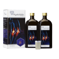HYALUTIDIN HC Aktiv preparat na stawy 2 x 500 ml
