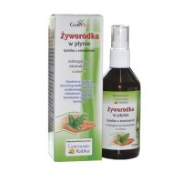 ŻYWORÓDKA w płynie aerozol 115 ml GORVITA