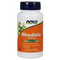 NOW FOODS RHODIOLA Różeniec Górski 500 mg 60 kapsułek
