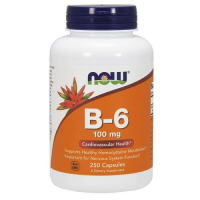NOW FOODS Witamina B-6 100 mg 250 kapsułek