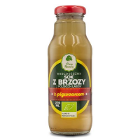 DARY NATURY Sok z brzozy z pigwowcem EKO 270 ml