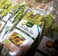 GREEK OLYMPUS TEA BIO Gojnik z Olimpu ekologiczny 35g