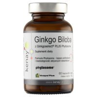 KENAY Ginkgo Biloba Ginkgoselect Phytosome 60 kapsułek