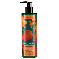 VIS PLANTIS Odżywka do włosów osłabionych zabiegami stylizacyjnymi z pszenicą i pestkami dyni 400 ml