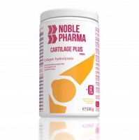 CARTILAGE PLUS ananas z cynkiem 500 g