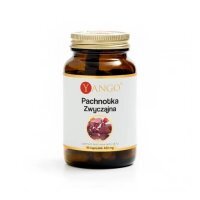 YANGO Pachnotka zwyczajna, 90 kaps.