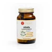 Yango Alfalfa Lucerna siewna, 60 kaps.