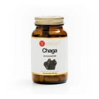 YANGO Chaga 10%, 90 kaps.