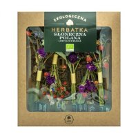 DARY NATURY Liofilizowana herbatka Słoneczna polana EKO 5 x 2,5 g