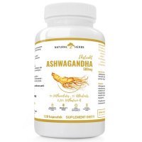 ALTO PHARMA Ashwagandha, ŻEŃ-SZEŃ 500mg 9% Witanolidów+Prebiotyk 120 Vege kapsułek