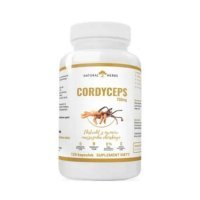 ALTO PHARMA Cordyceps 750mg Ekstrakt z owoców maczużnika chińskiego 120 kapsułek
