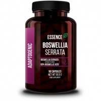 ESSENCE BOSWELIA SERRATA 90 kapsułek