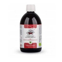 JOY DAY Probiotyczny ekstrakt roślinny Zioła Jędrzeja GŁÓG 500 ml