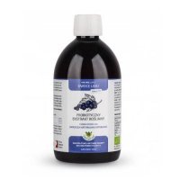 JOY DAY Probiotyczny ekstrakt roślinny Zioła Jędrzeja OWOCE LASU 500 ml