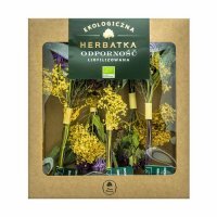 DARY NATURY Herbatka Odporność Liofilizowana EKO, 5x2,5 g