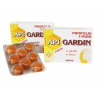 API GARDIN FORTE Propolis i Miód, 16 pastylek do ssania