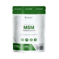 Wish Pharmaceutical MSM Siarka Organiczna, 1 kg