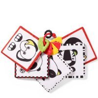 BABYONO Karty edukacyjne DREAM TEAM 781