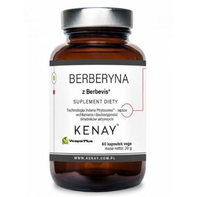 Kenay Berberyna z Berbevis, 60 kaps.