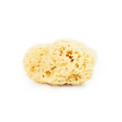 Lullalove Naturalna gąbka morska do twarzy i ciała XL