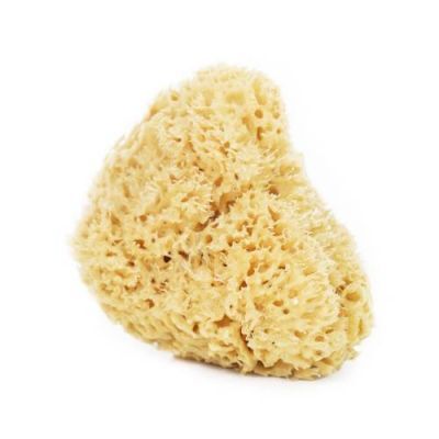 Lullalove Naturalna gąbka morska do twarzy i ciała XXL