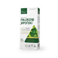 Medica Herbs Miłorząb Japoński Ginkgo Biloba 120 mg, 60 kaps.
