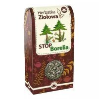 NATURA-WITA herbata Stop Borelia 100 g  DATA WAŻNOŚCI