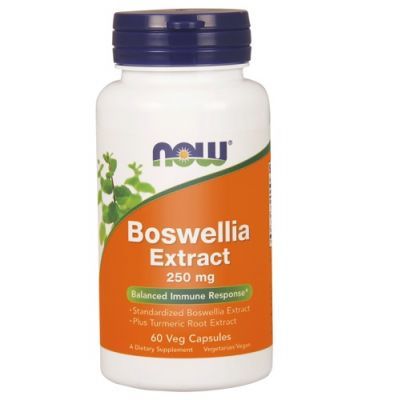NOW FOODS Boswellia extract 250 mg 60 kapsułek